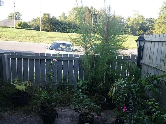 Patio and Parking