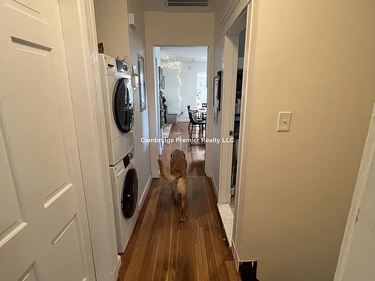 45 Raymond Ave #1 — Photo 13