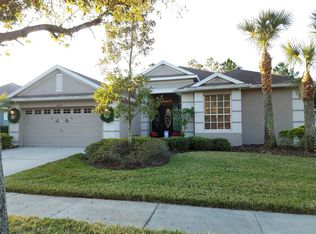 16502 Bridgewalk Dr, Lithia, FL 33547