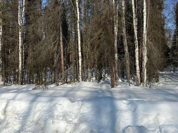 12857 Denlow Dr, Wasilla, AK 99623