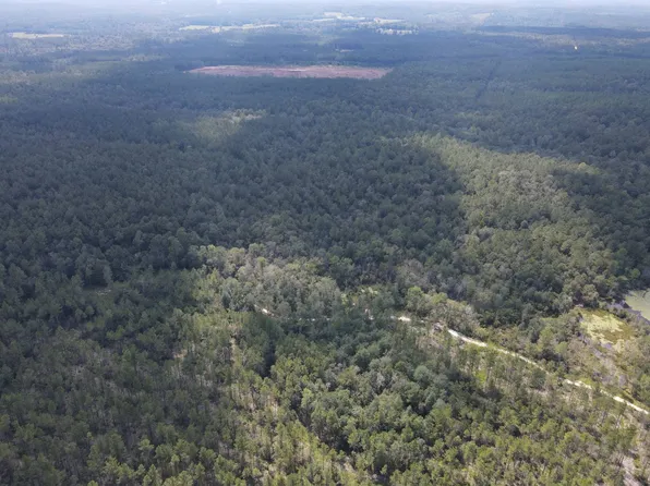 0 Country Hill Rd, Lucedale, MS 39452