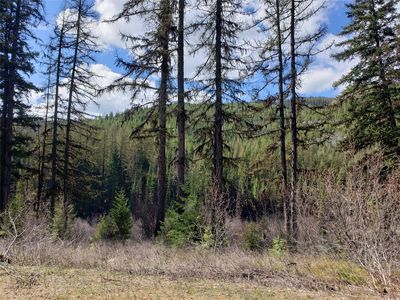 TRACT 3 Nine Mile Rd, Huson, MT, 59846