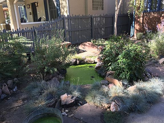 Front Yard