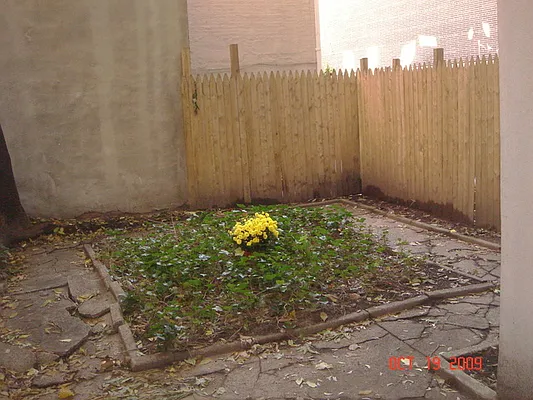 Rented by St. James Realty | media 5