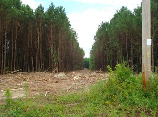 5848 Bluman Rd #1A, Wade, NC 28395