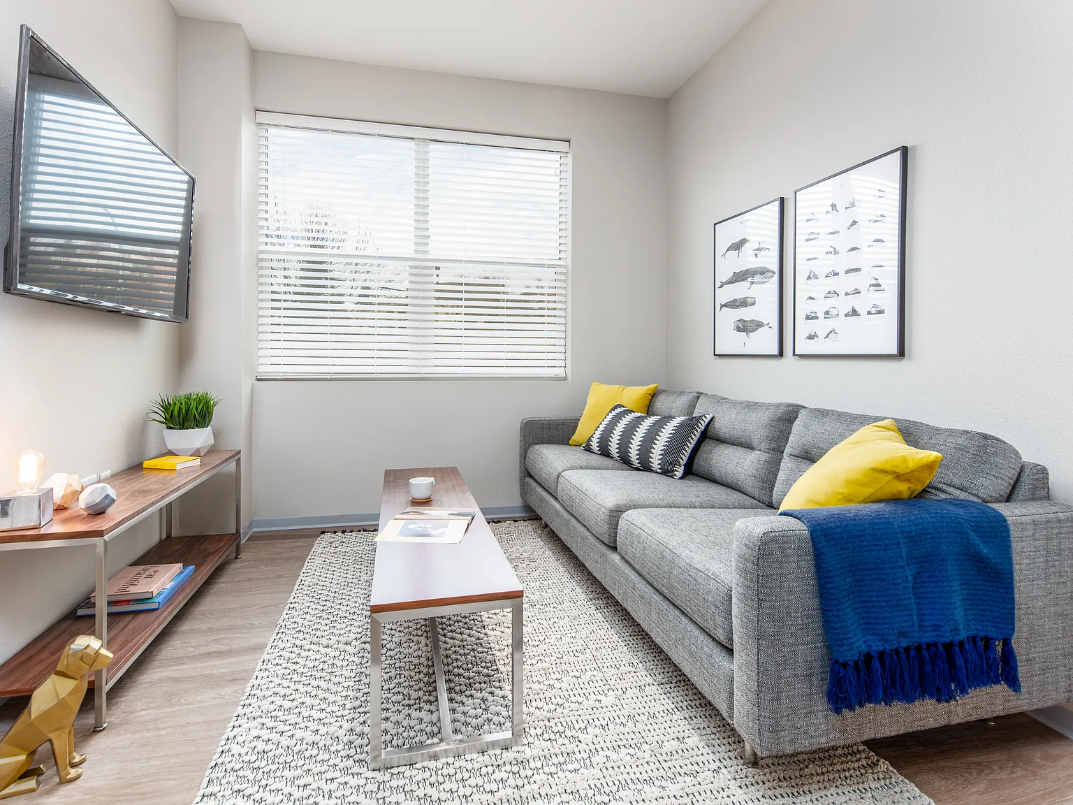 Muse on Main - Student Apartments — Photo 4