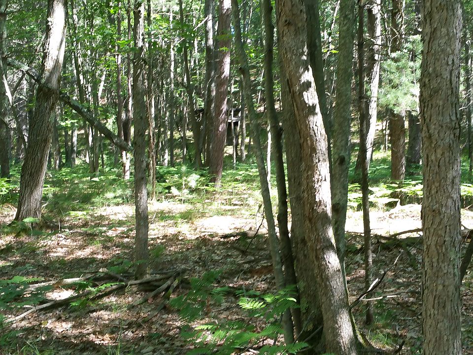 2nd image of Peterson Rd