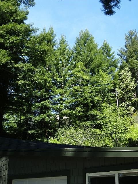 1st image of Trobitz Klamath Gln