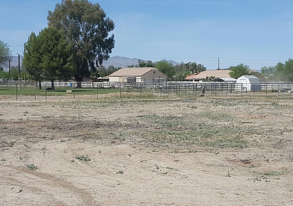 Looking at west neighbor 