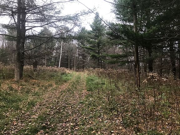 4th image of N5447 Central Ave