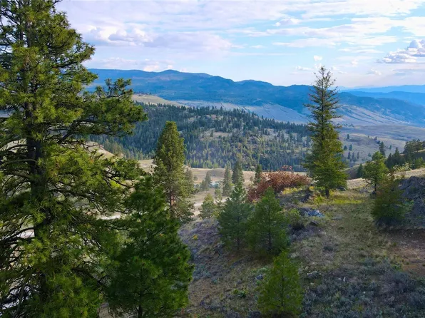 0 TBD Blue Grouse Road, Oroville, WA 98844