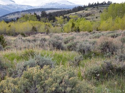 4 Weys Vw, Mc Allister, MT, 59740