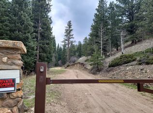 3001 Van Eden Rd, Idaho Springs, CO 80452