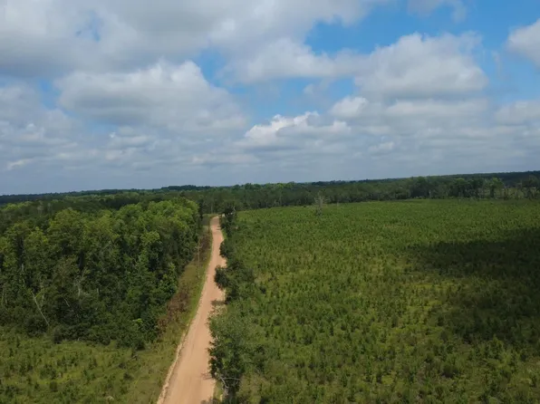 0 Sims Brothers Rd, Claxton, GA 30417
