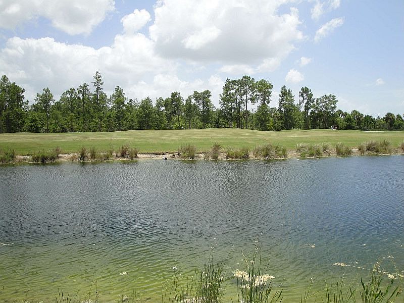 2nd image of 7452 Treeline Dr