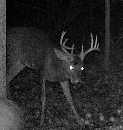 5th image of W Gull Lake Dr