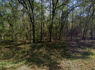 9273 N Patch Dr #52, Dunnellon, FL 34434