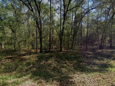 9273 N Patch Dr #52, Dunnellon, FL, 34434