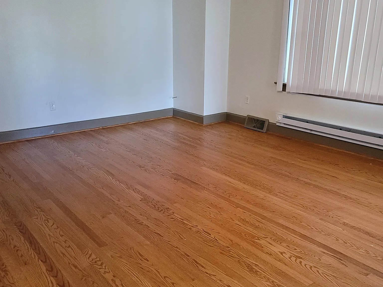 55 Francis Street - 1 — Photo 4