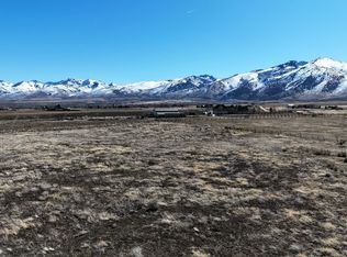 Hog Tommy Rd, Lamoille, NV 89828