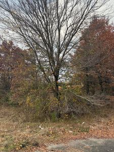 Batesville Blvd, Pleasant Plains, AR, 72568