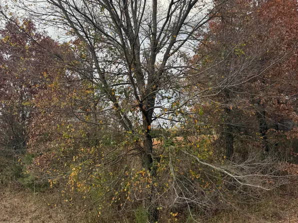 Batesville Blvd, Pleasant Plains, AR 72568