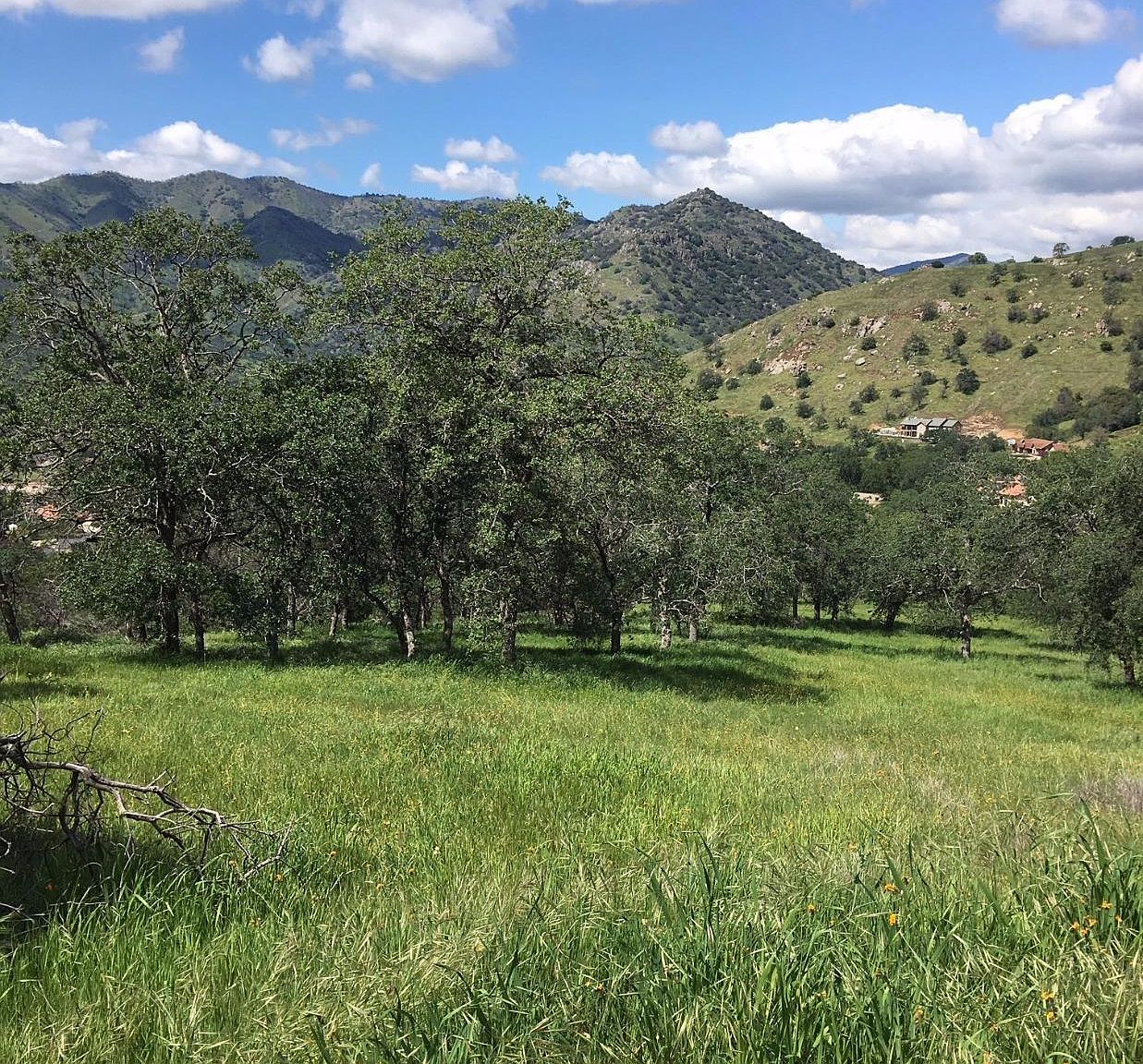 42367 Corral Dr, Three Rivers, CA 93271 Zillow