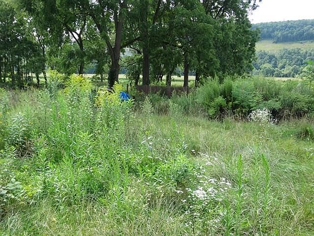 2nd image of 931 River Rd