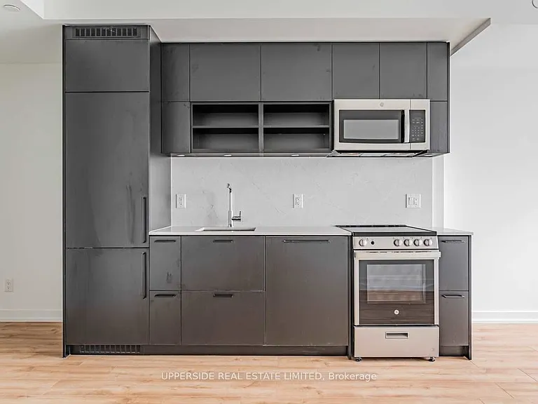 135 E Liberty St #1613 — Photo 3