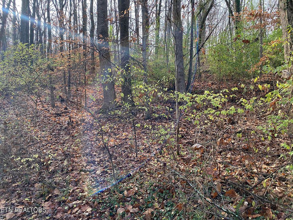 1st image of 528 Jackson Hills Dr