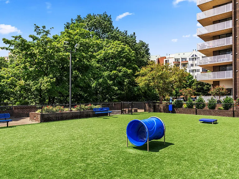 Let your furry friend run around at our pet park