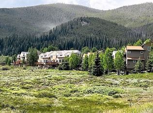 592 Meadow Wood Cir, Dillon, CO 80435