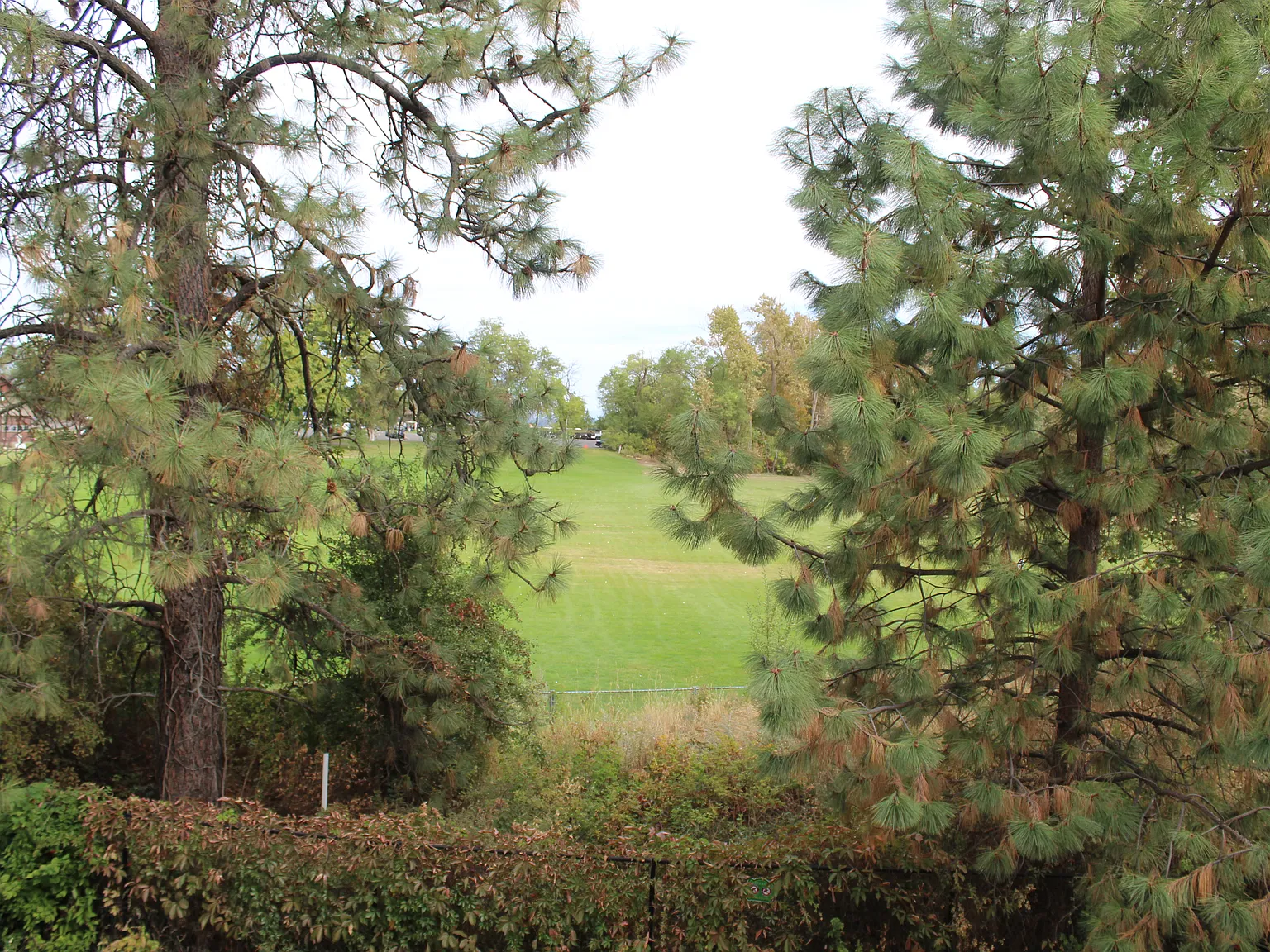 Courts at Indian Canyon — Photo 2