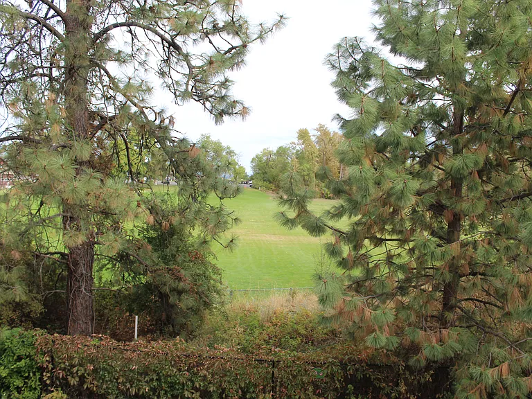 Courts at Indian Canyon — Photo 1