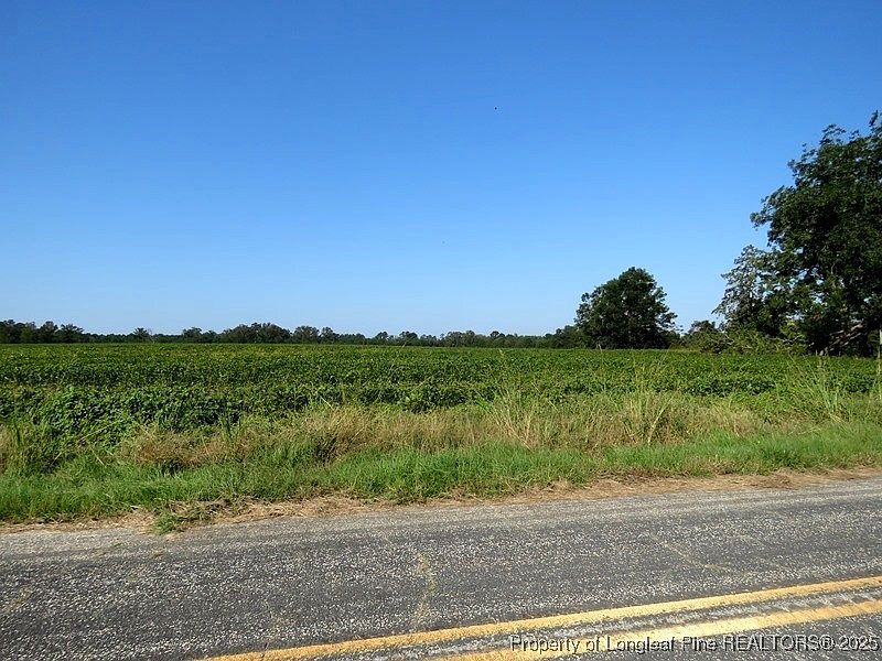 2nd image of Cowpen Swamp Rd