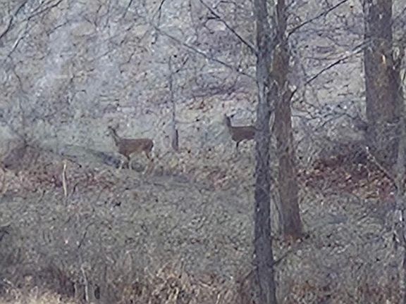 3rd image of 0 Maysville Williams Rd