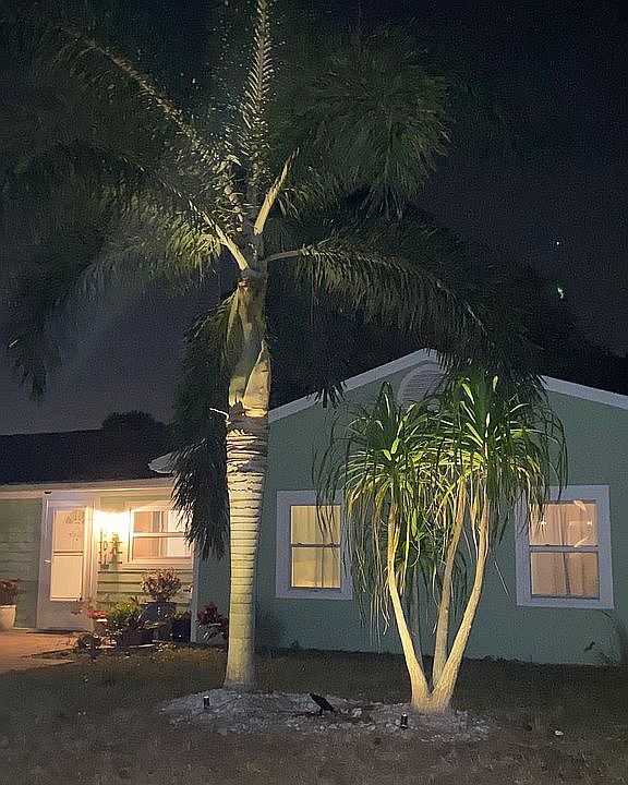 Night view