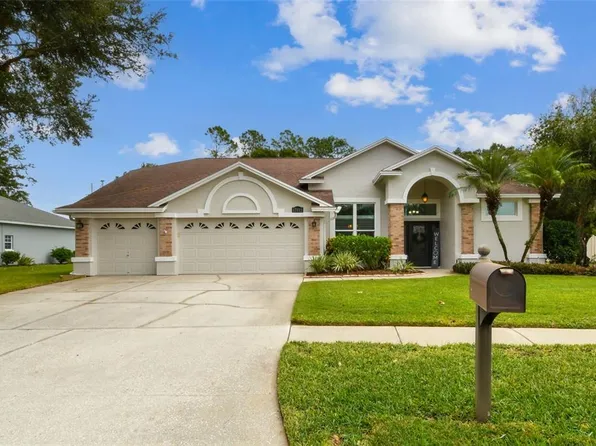 17112 Downs Dr, Odessa, FL 33556