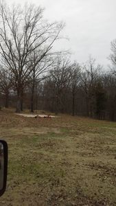 43 County Road 1482, Mount Pleasant, TX, 75455