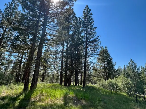 459 Paintbrush, Clio, CA 96106