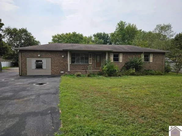 154 Gene Dr, Ledbetter, KY 42058