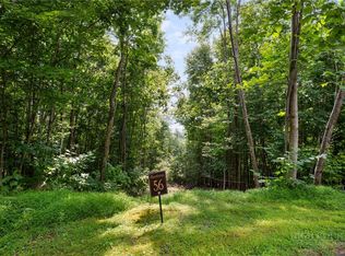 LOT 56 E Pinnacle Dr, Elk Park, NC 28622
