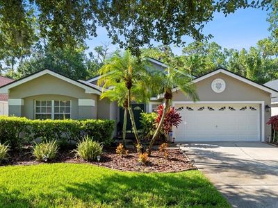 11727 Derbyshire Dr, Tampa, FL, 33626