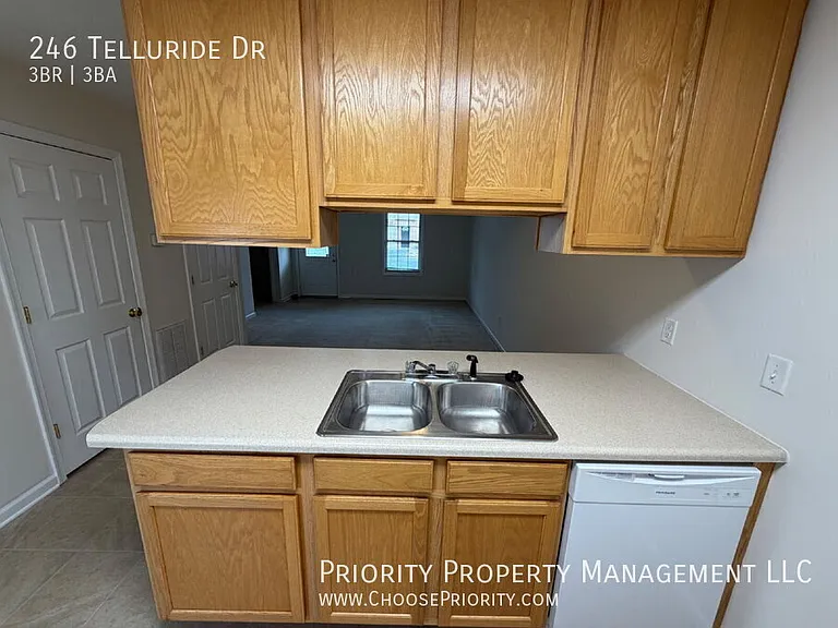 246 Telluride Dr — Photo 6