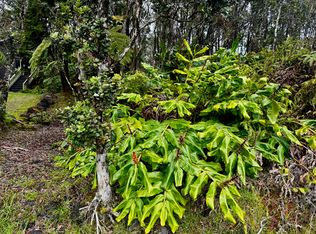 Alaula St LOT 363, Volcano, HI 96785