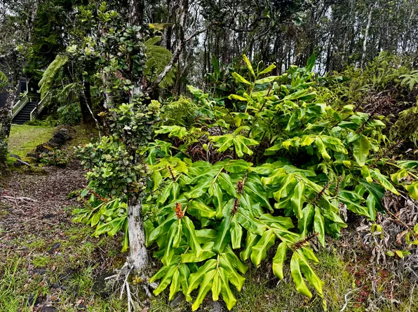 Alaula St Lot 363, Volcano, HI 96785