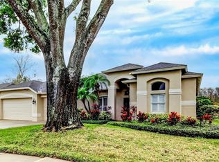 17320 Hubers Ct, Odessa, FL 33556