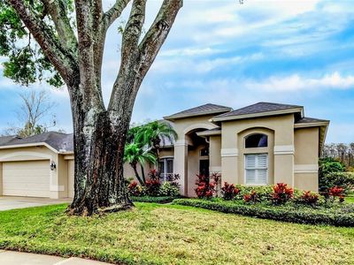 17320 Hubers Ct, Odessa, FL, 33556