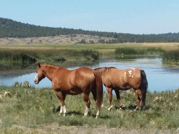 4th image of 0 Sprague River Rd