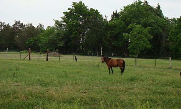 3rd image of 6812 County Road 4045